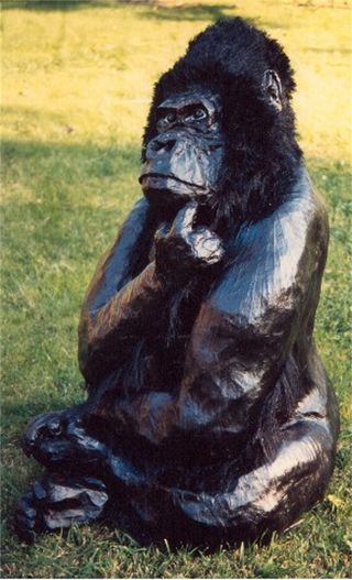 gorilla